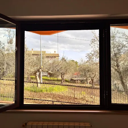 Il Nido Di Betta Semesterbostad Mosciano SantʼAngelo