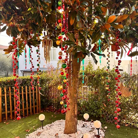 Il Nido Di Betta Mosciano SantʼAngelo