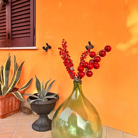 Il Nido Di Betta * Mosciano SantʼAngelo