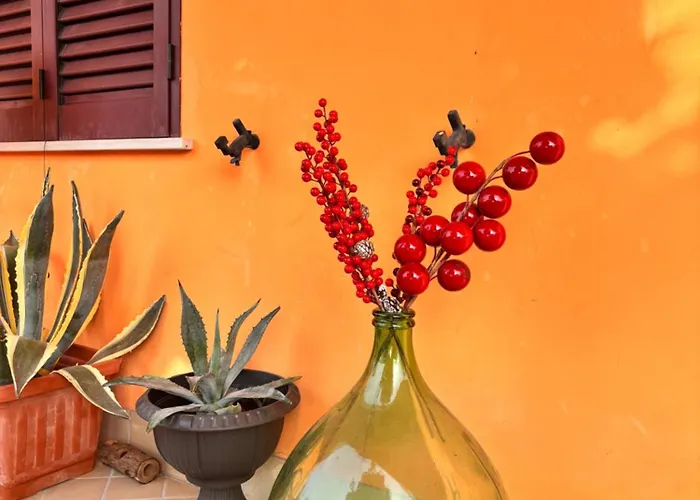 Il Nido Di Betta * Mosciano SantʼAngelo